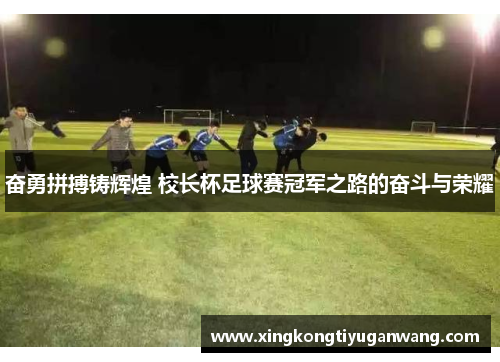 奋勇拼搏铸辉煌 校长杯足球赛冠军之路的奋斗与荣耀