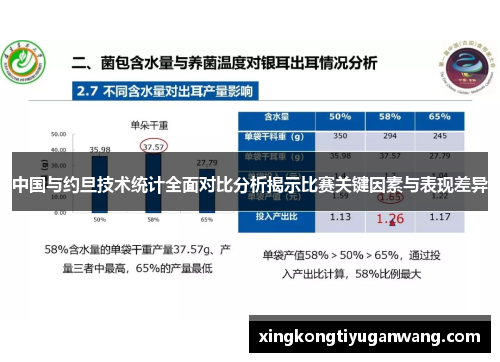 中国与约旦技术统计全面对比分析揭示比赛关键因素与表现差异
