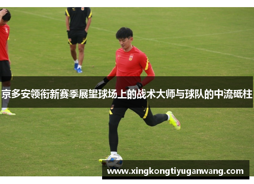 京多安领衔新赛季展望球场上的战术大师与球队的中流砥柱